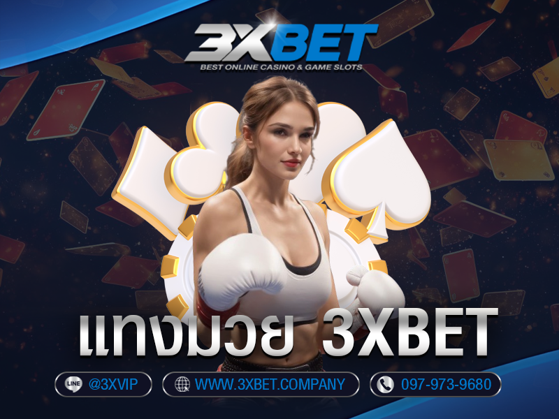 แทงมวย 3XBET